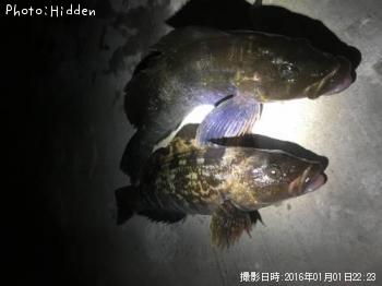 �����ʥ�