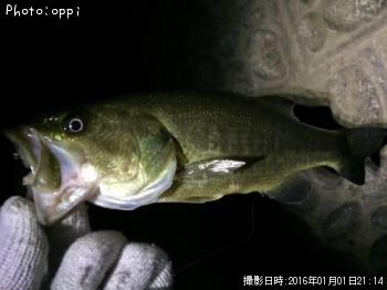 �֥�å��Х�