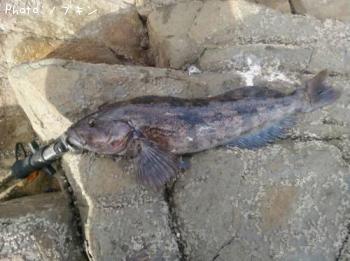 �����ʥ�