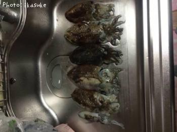 ���������Ȥ��ӥ�����