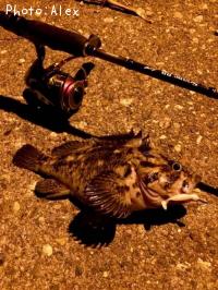 ��������