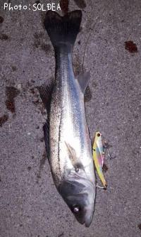 �����Х�