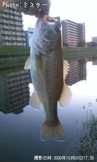 ¥Ö¥é¥Ã¥¯¥Ð¥¹