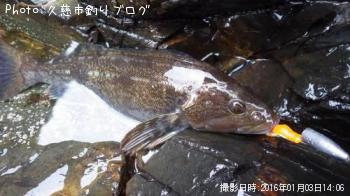 �����ʥ�