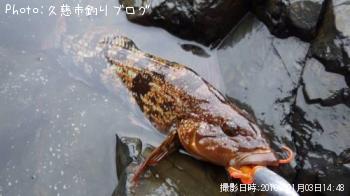 �����ʥ�