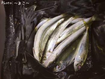 ���������ޥ�