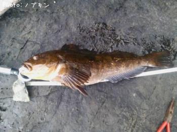 �����ʥ�