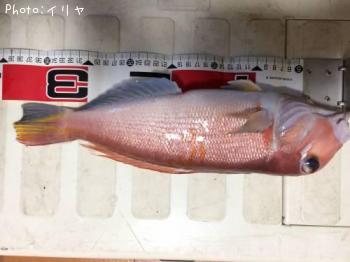 ���ޥ���