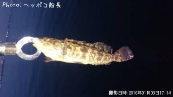 �����ʥ�