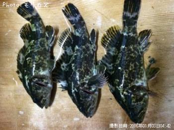 �����Υ���Х�