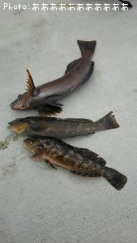 �����ʥ�