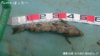 �����ʥ�