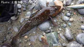 �����ʥ�