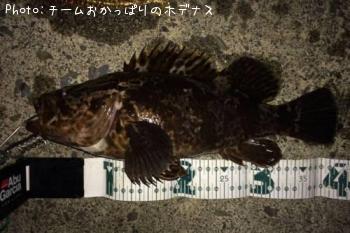 �����Υ���Х�