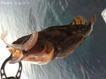 �����ʥ�