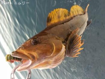 �����ʥ�