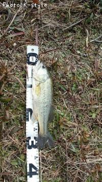 ¥Ö¥é¥Ã¥¯¥Ð¥¹