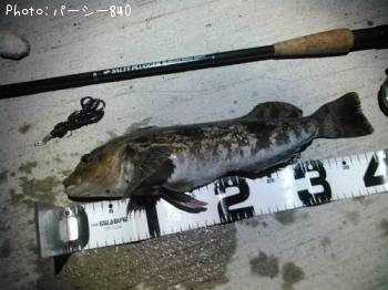 �����ʥ�