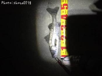 �����Х�