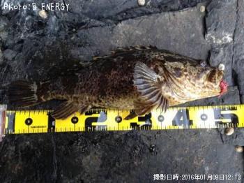 �٥å�������