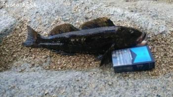 �����ʥ�