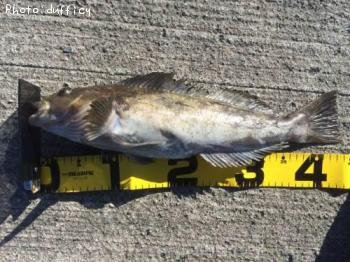 �����ʥ�