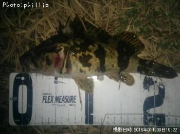 �����Υ���Х�