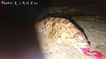 �����ʥ�