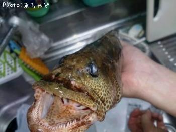 �����顼�ߡ��Х��ڥޥ���ϥ���