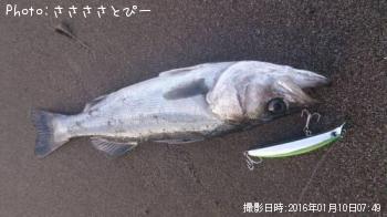 �����ե����Х�