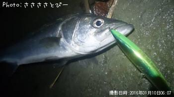 �����ե����Х�