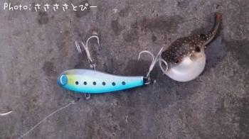 �����ե����Х�