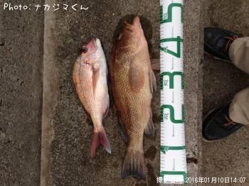 ¥ª¥ª¥â¥ó¥Ï¥¿