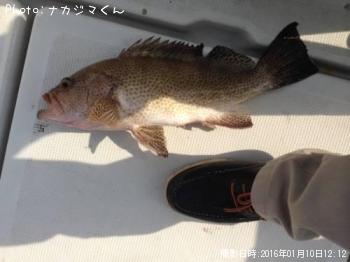 ¥ª¥ª¥â¥ó¥Ï¥¿