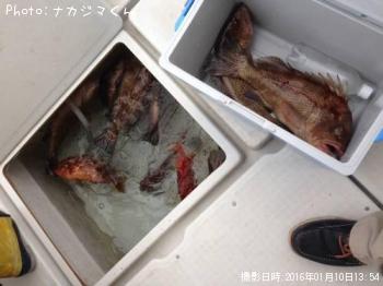 ¥ª¥ª¥â¥ó¥Ï¥¿