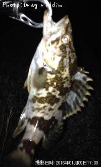 �����Υ���Х�