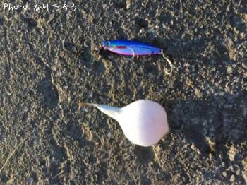 �����ե�