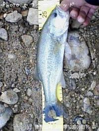 �֥�å��Х�