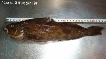 �����ʥ�