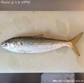 ���Υ���