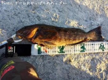 �����ʥ�