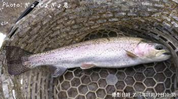 �ȥ饦��