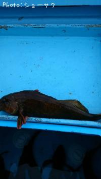 �����ʥ�