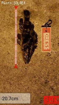 ¥¿¥±¥Î¥³¥á¥Ð¥ë