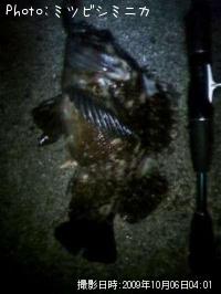 �����Υ���Х�