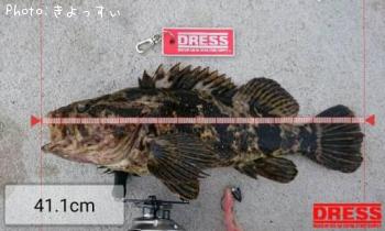 ¥Ù¥Ã¥³¥¦¥¾¥¤