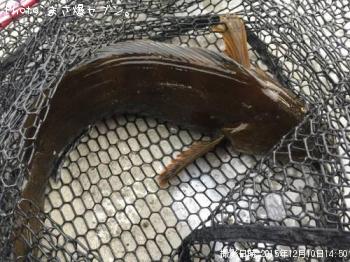 �����ʥ�