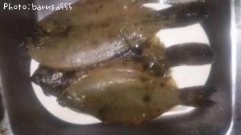 �����ޥ����쥤