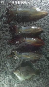 ¥±¥ó¥µ¥¥¤¥«