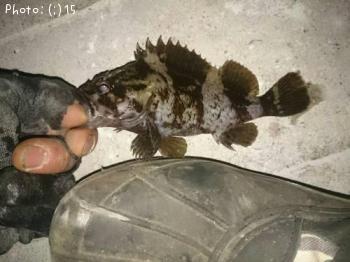 ��Ф롢�����Х������������ᤸ�ʡ�����